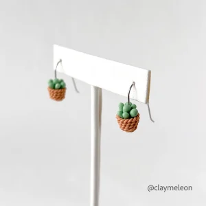 Claymeleon Succulent