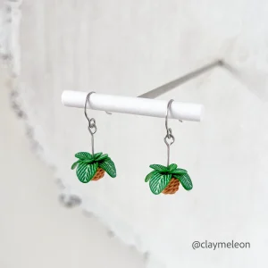 Claymeleon Fittonia